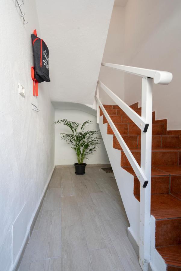 Spacious House With Huge Terrace Facing The Sea Bocacangrejo Eksteriør billede